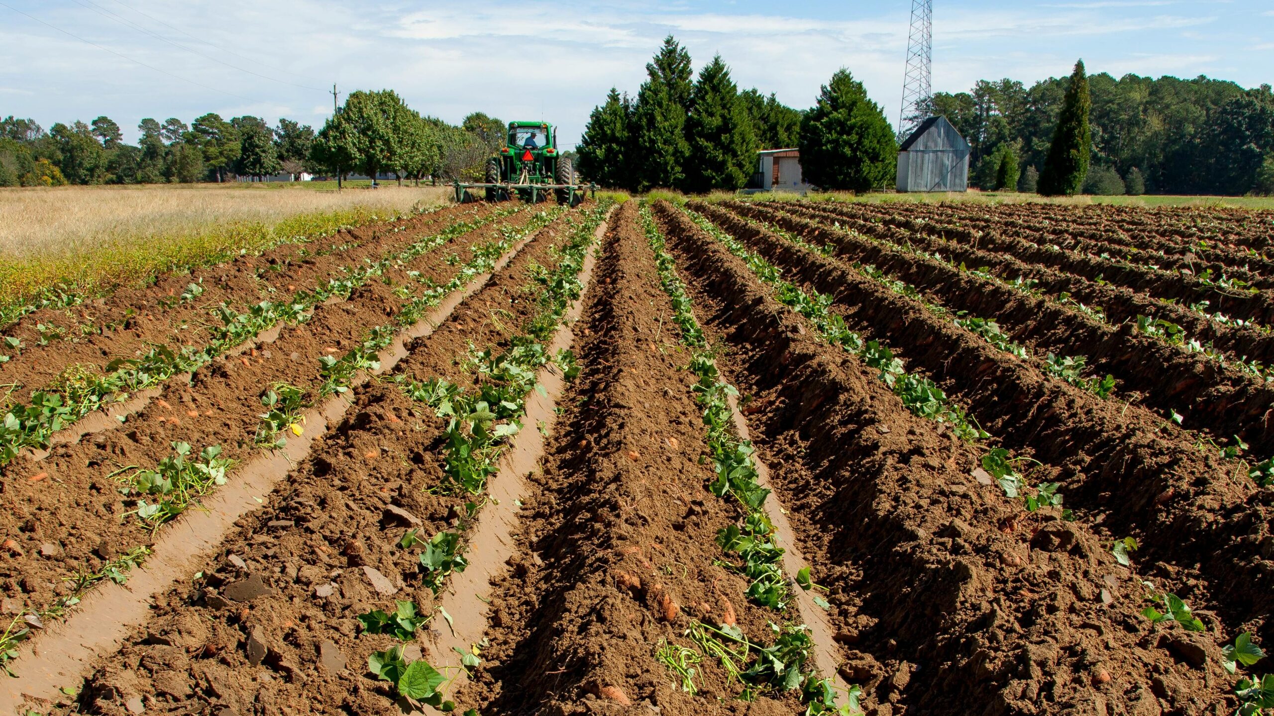 Thinking Globally and Acting Locally for Food and Nature - Image 3