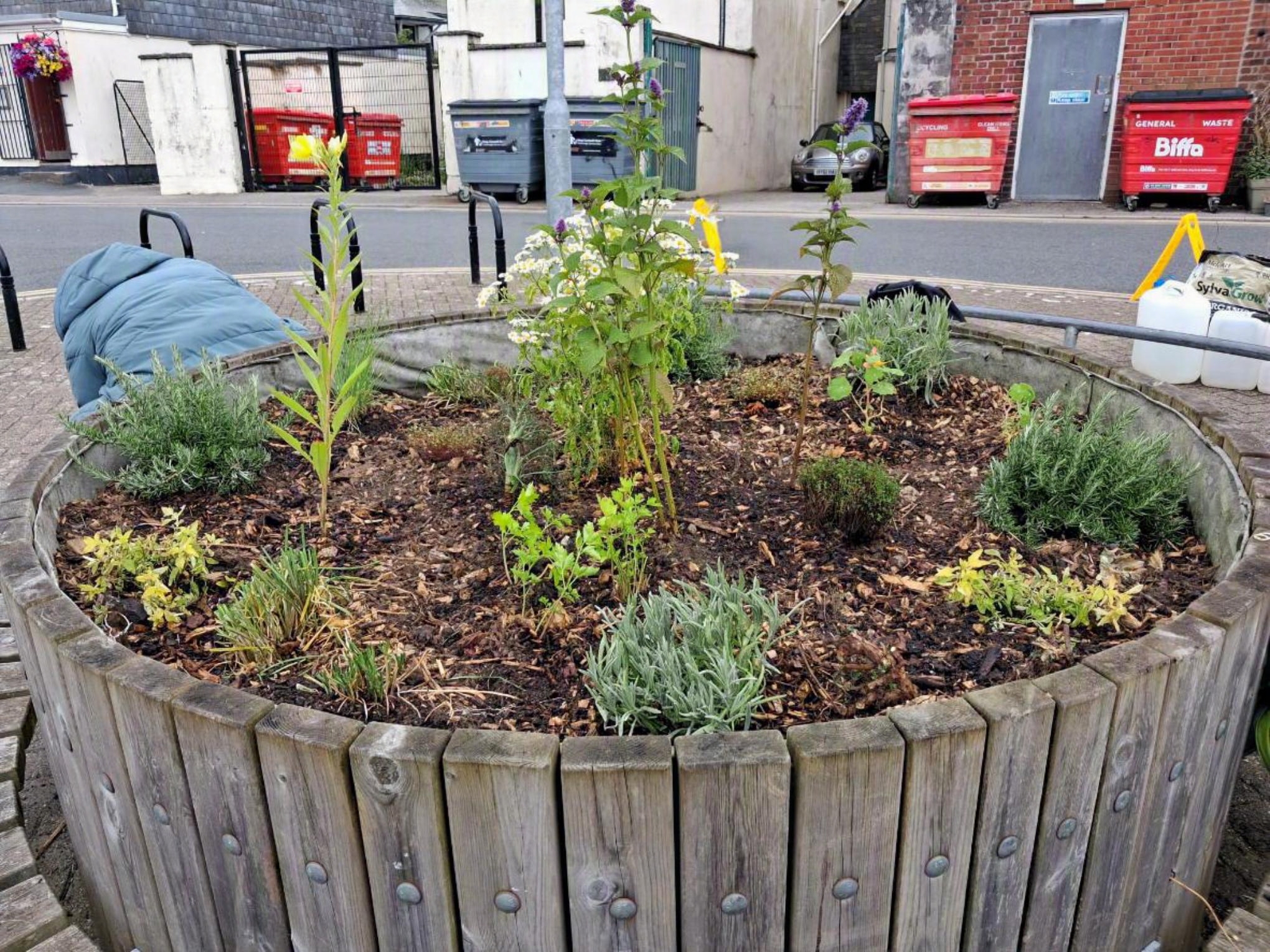 A herb garden roundabout at the Leats in Truro
