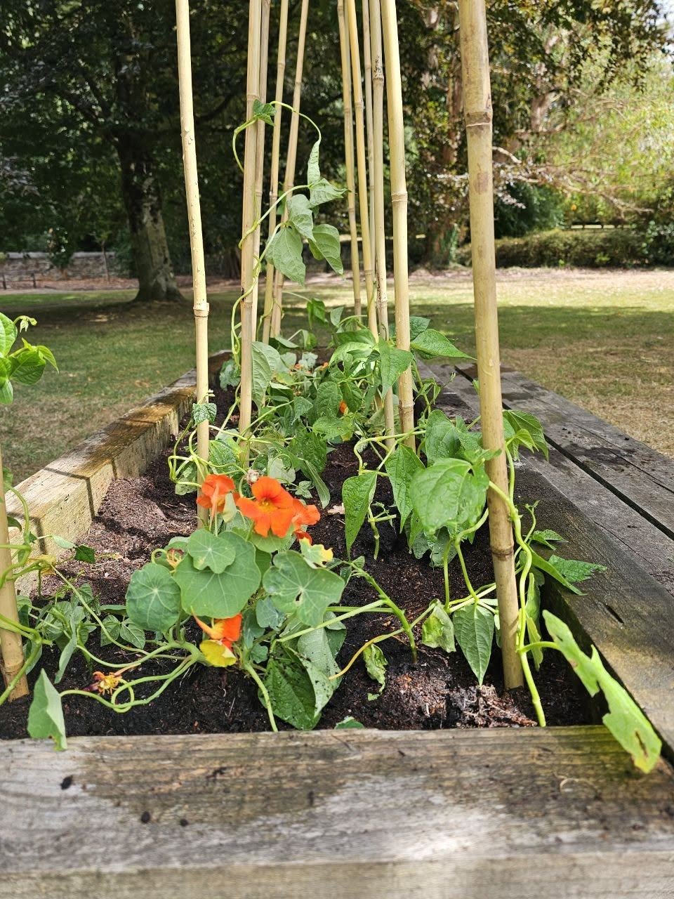 Volunteer Saturday in Waterfall Gardens  - Image 1