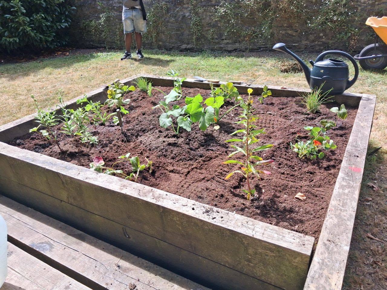 Volunteer Saturday in Waterfall Gardens  - Image 2