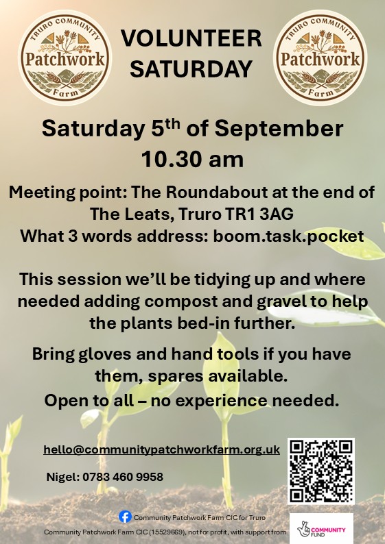 Volunteer Saturday, 5th September 2026, 10.30am - Image 1